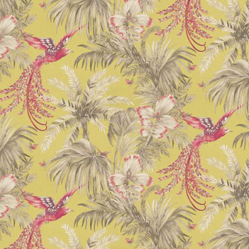 Bird of Paradise W6655-01